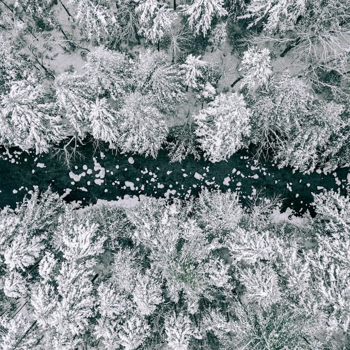 AI in 2026 and beyond ⊗ Bioregionalism’s tech-driven revival