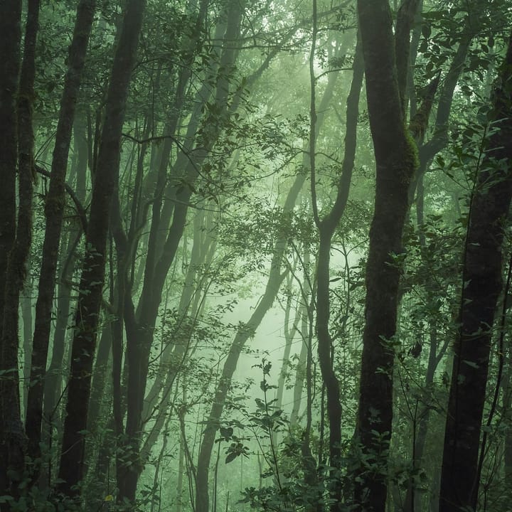 What technology takes from us ⊗ Private sufficiency, public abundance